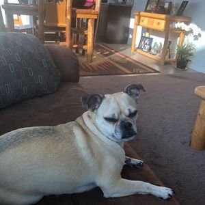 Meet your Posher, Lisa